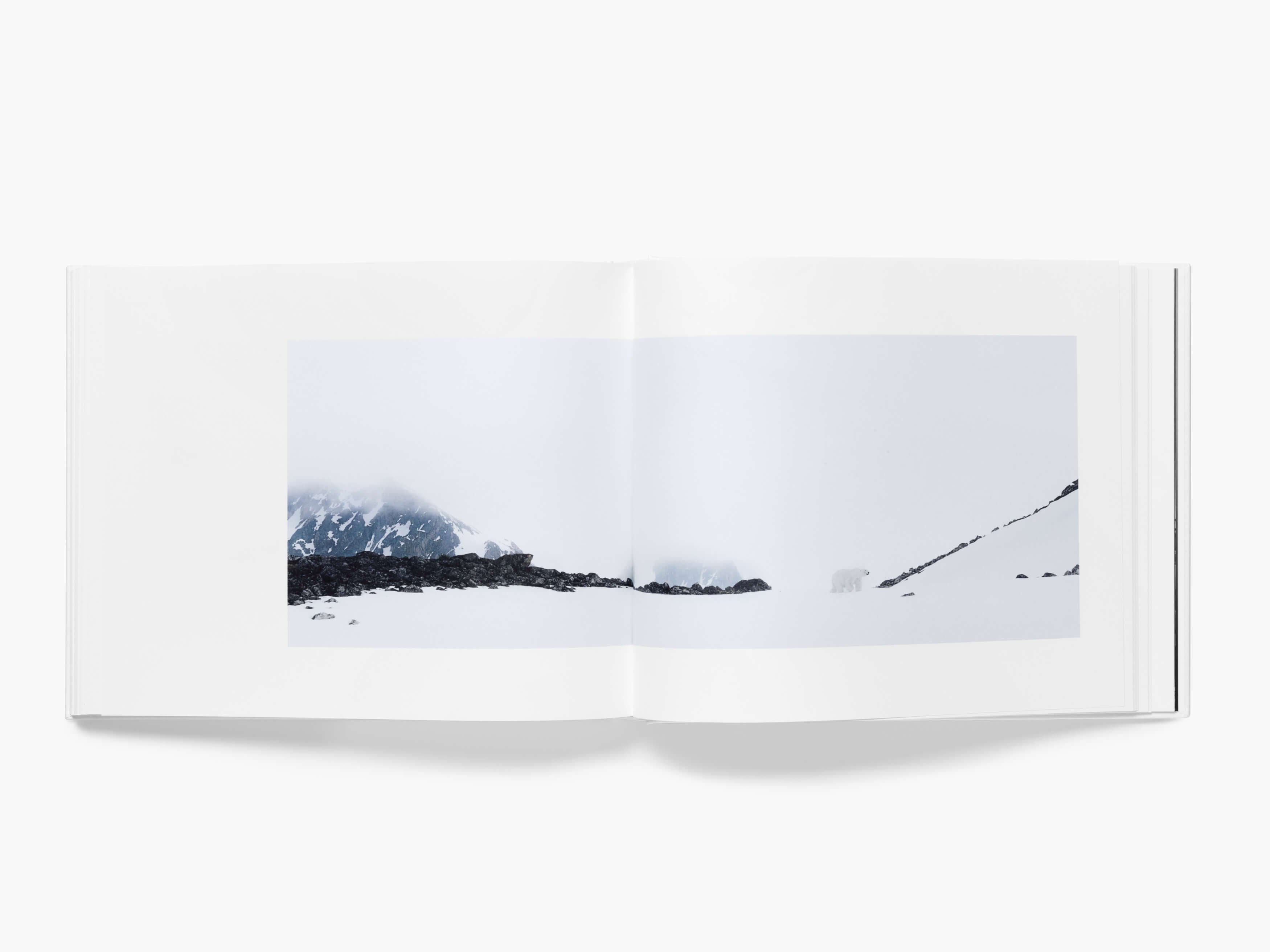 Arctic Book – Vincent Munier - Hemeria