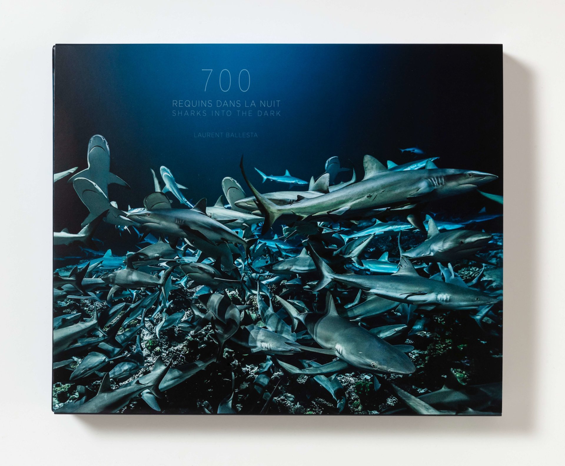 Couverture de 700 requins dans la nuit