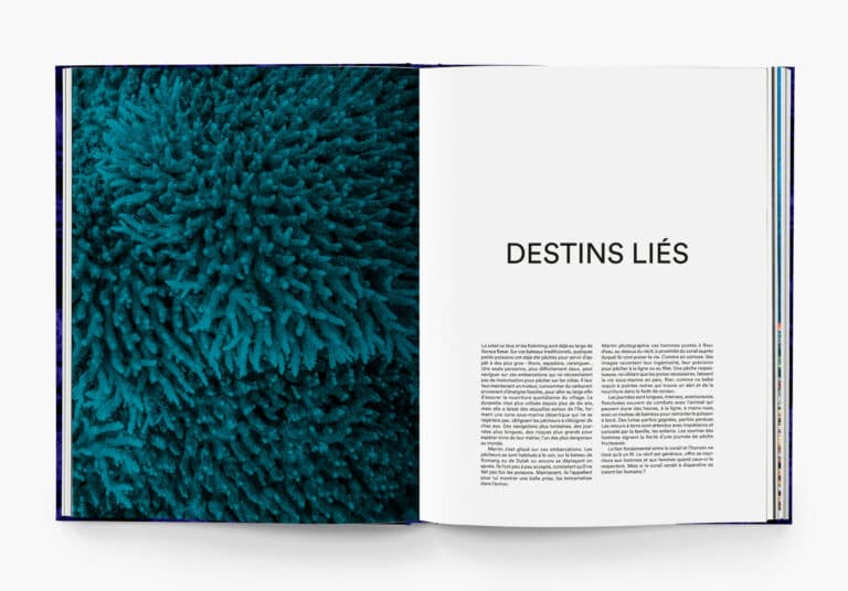 Martin_Colognoli_Corail_int_Hemeria-9