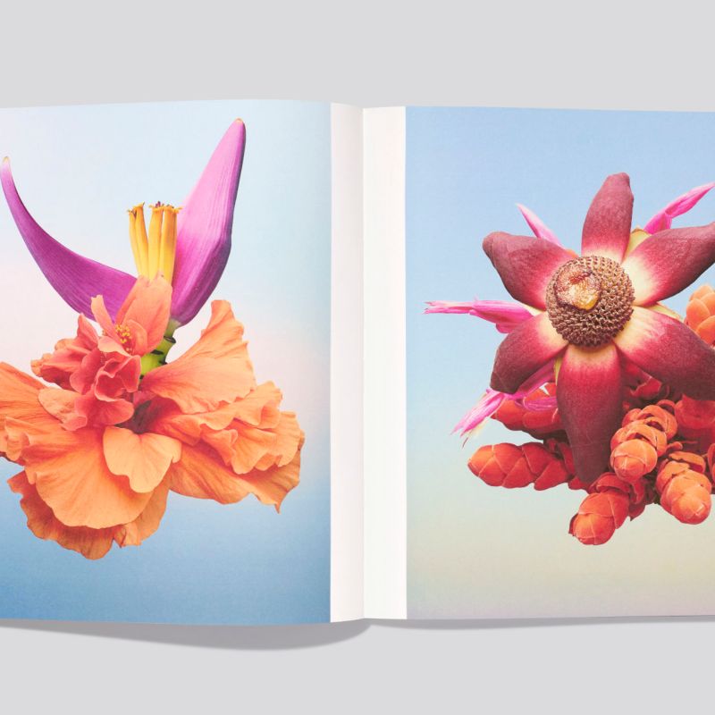 Erwan_Frottin_Flux_Hemeria_1