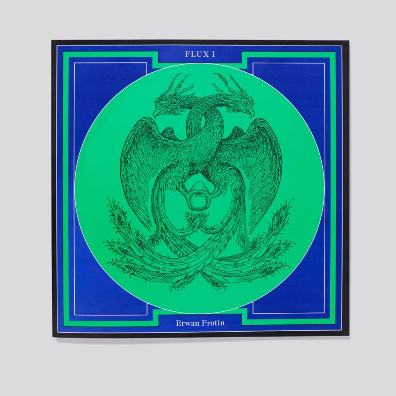 Flux I - Erwan Frotin