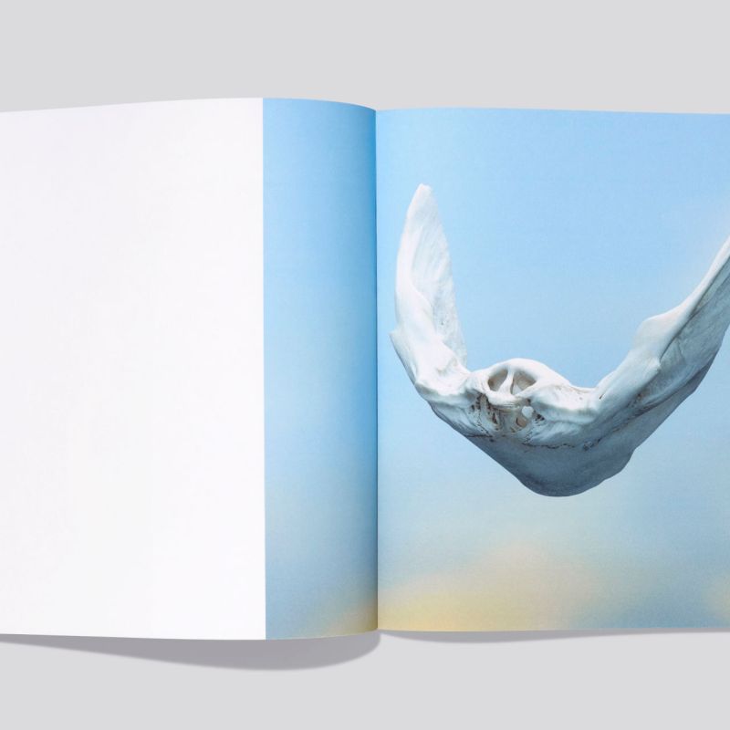 Erwan_Frottin_Flux_Hemeria_3