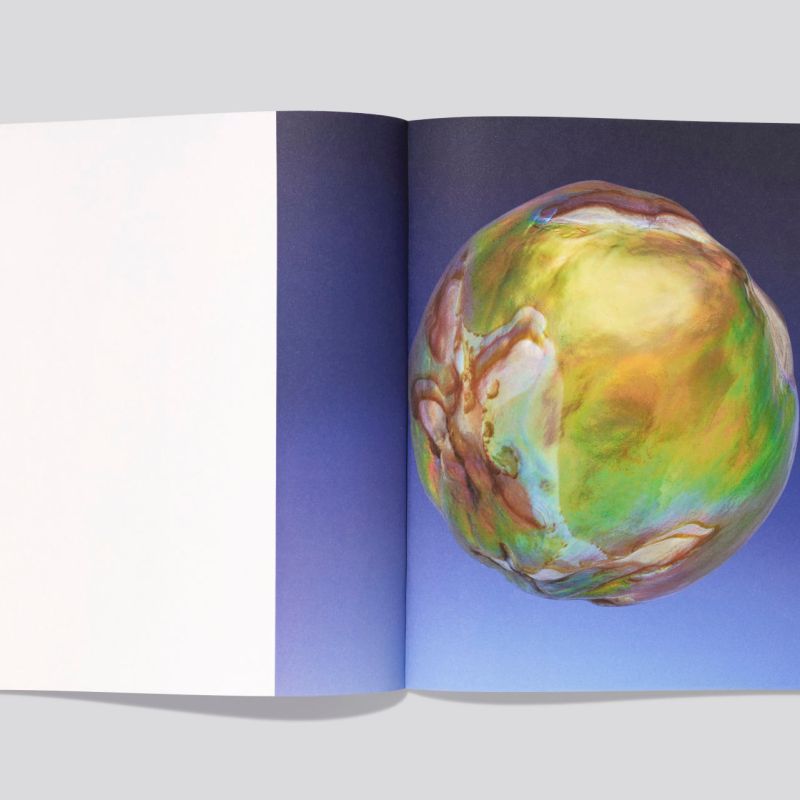 Erwan_Frottin_Flux_Hemeria_4