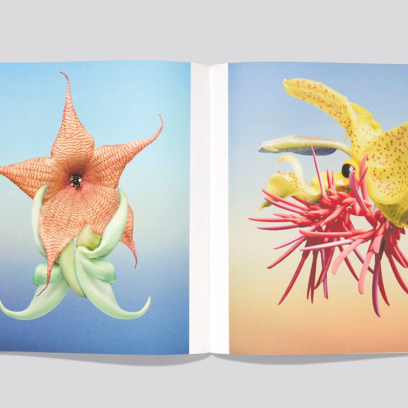 Erwan_Frottin_Flux_Hemeria_7