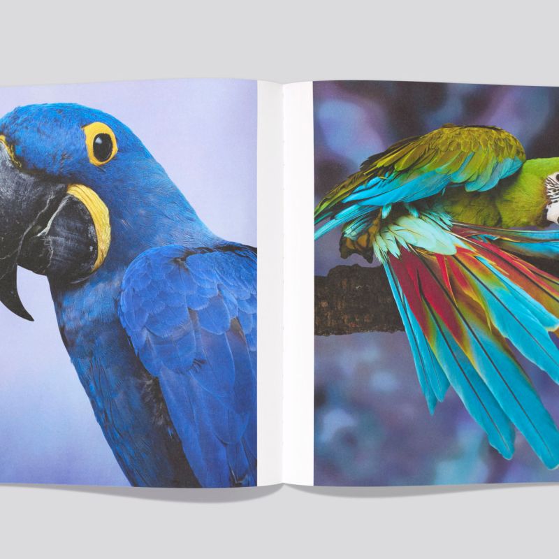 Erwan_Frottin_Flux_Hemeria_9