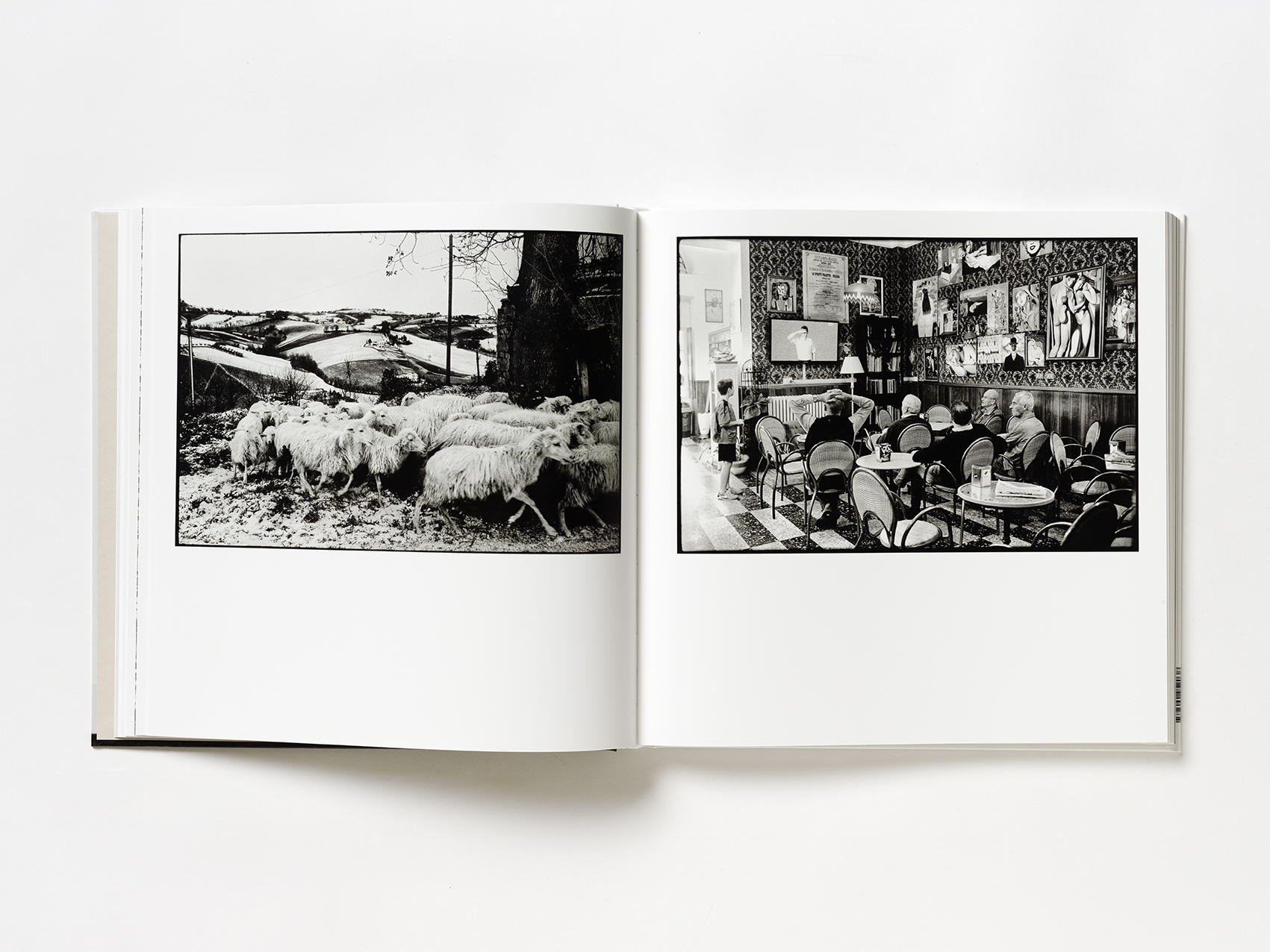 Elegia_Fantastica_Emanuele_Scorcelletti_Livre_Hemeria_3