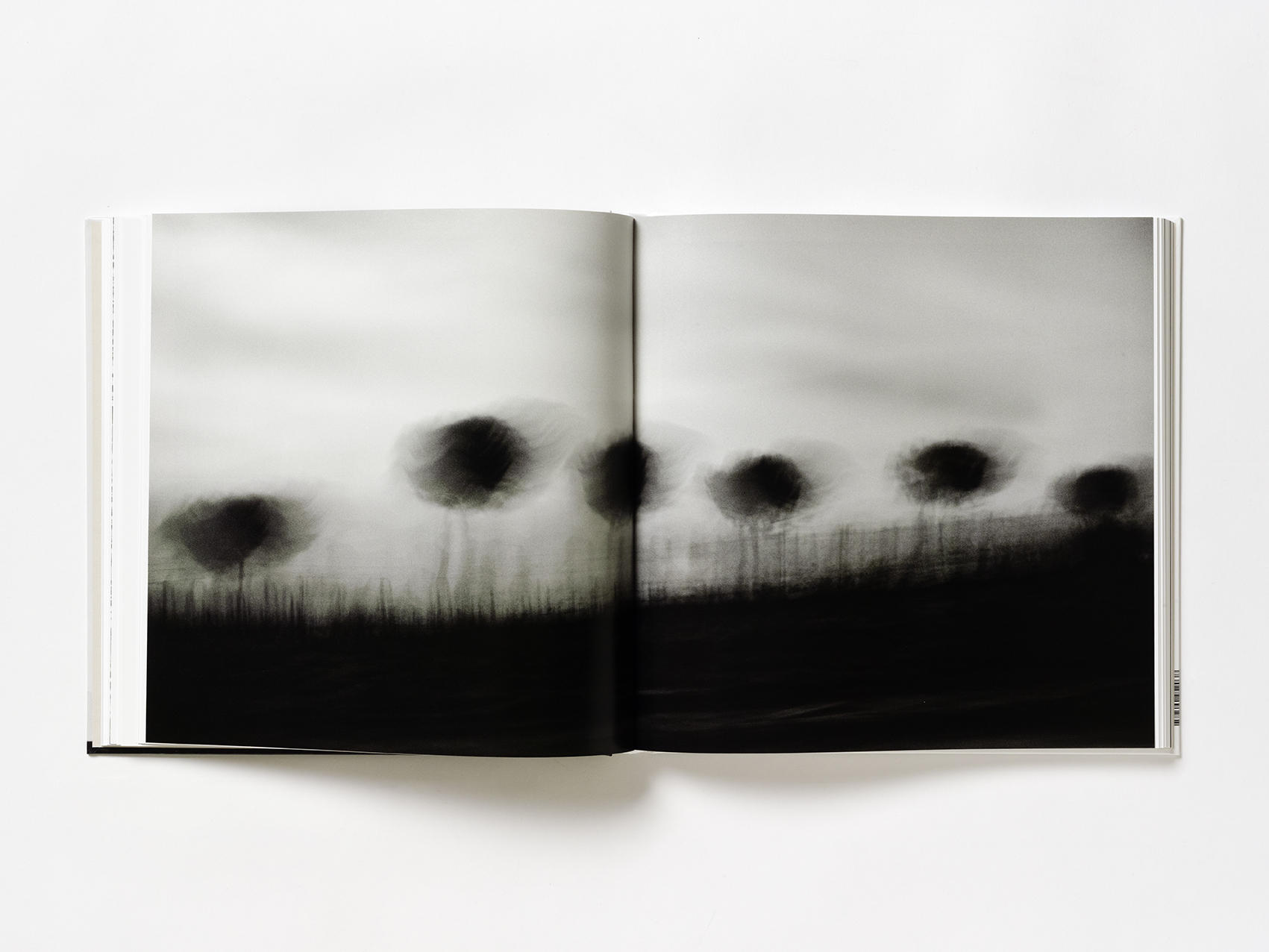 Elegia_Fantastica_Emanuele_Scorcelletti_Livre_Hemeria_5