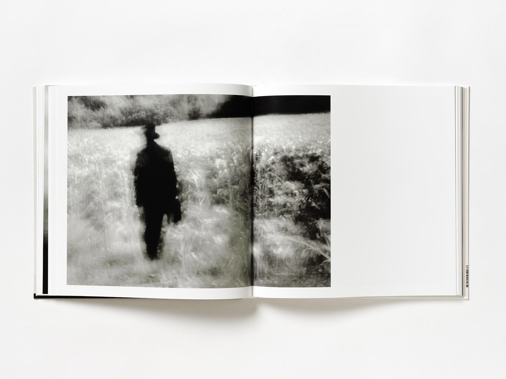 Elegia_Fantastica_Emanuele_Scorcelletti_Livre_Hemeria_7