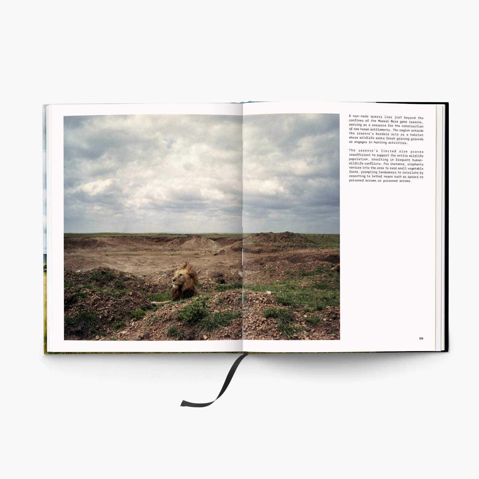 GUILLAUME BONN _Paradise_INT_04