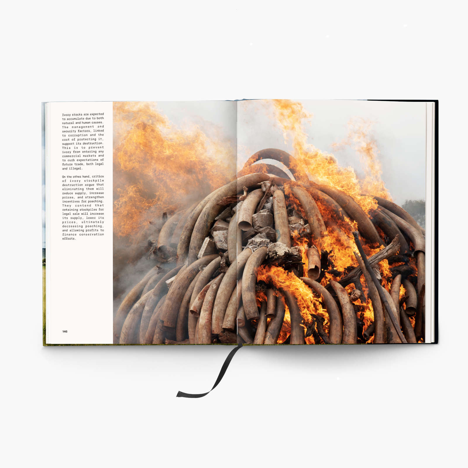 GUILLAUME BONN _Paradise_INT_11