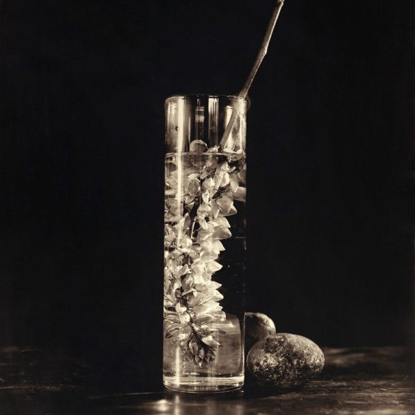 drowningflowersIV24x30(démo)